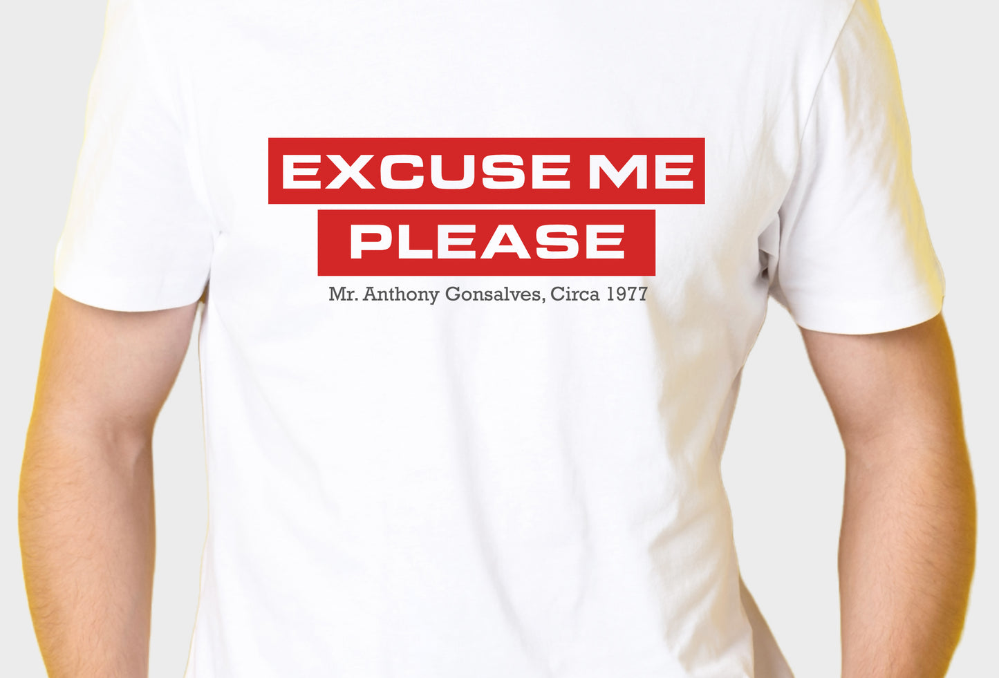 Men's Typography Printed Premium Cotton Biowash T-Shirt - Excuse Me Please Typography Unisex Tee